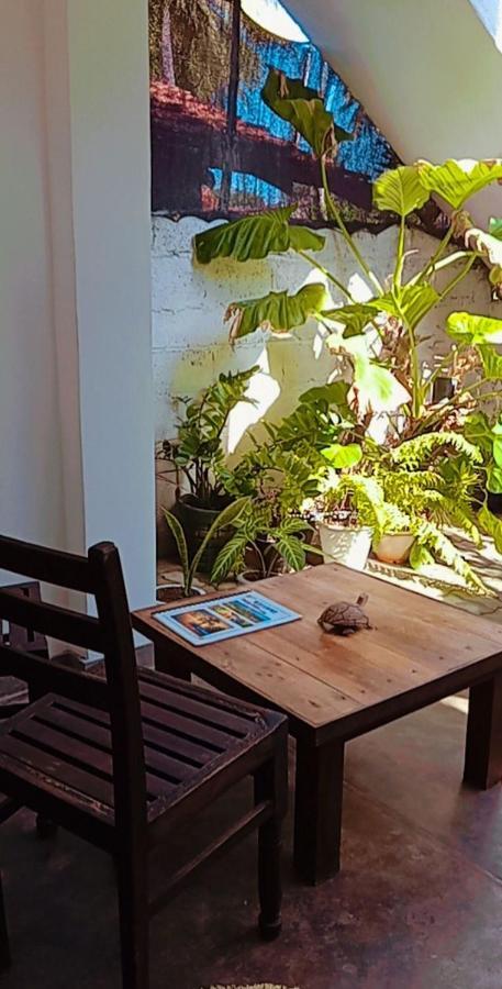 Shady Edge Hotel Unawatuna Ngoại thất bức ảnh